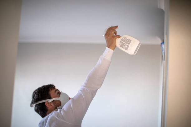 Best Certified Mold Removal  in Allardt, TN