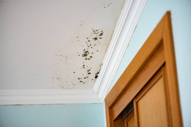 Water Damage Restoration in Allardt, TN