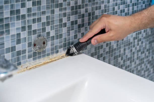 Best Certified Mold Removal  in Allardt, TN